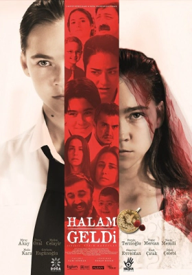 Halam Geldi (2013)