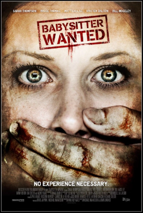 Babysitter Wanted (2008)