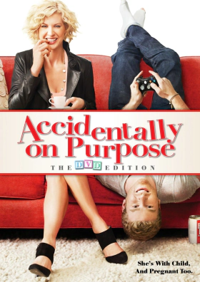 Accidentally on Purpose  (TV Series 2009-2010)