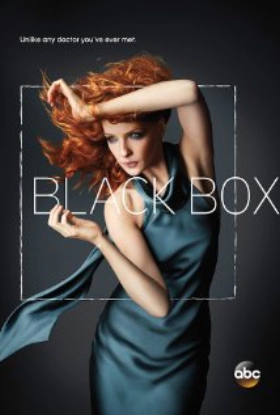 Black Box (2014) TV Series