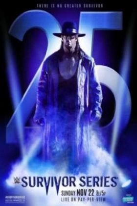 Survivor Series 2015