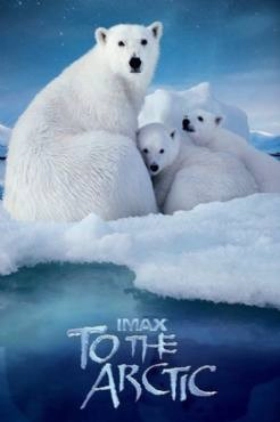 To the Arctic 3D 2012