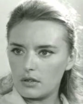 Η κοινωνία μας αδίκησε (1967)