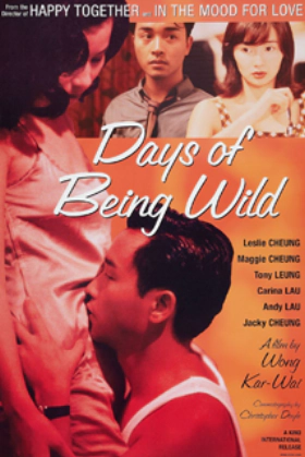 Days of Being Wild (1990)