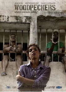 Carpinteros / Woodpeckers (2017)