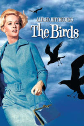 The Birds (1963)