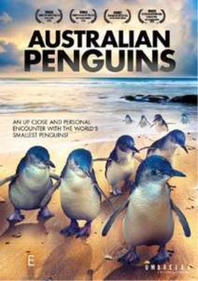 Australian Penguins  (2017)