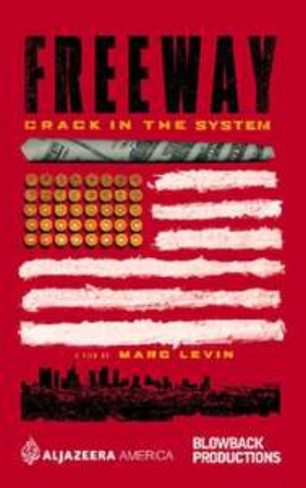 Freeway: Crack in the System (2015)