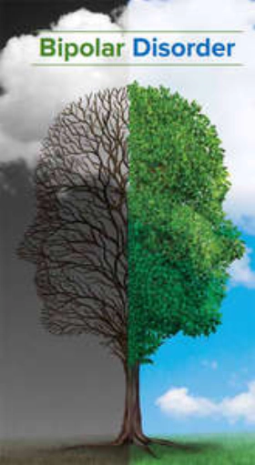 Διπολική διαταραχή - Bipolar Disorder (2007)