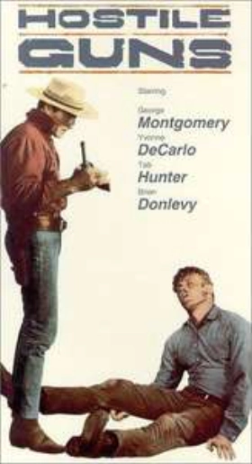 Hostile Guns (1967)