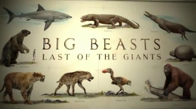 Big Beasts: Last of the Giants (2018)