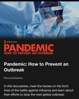Pandemic: How to Prevent an Outbreak (2020)