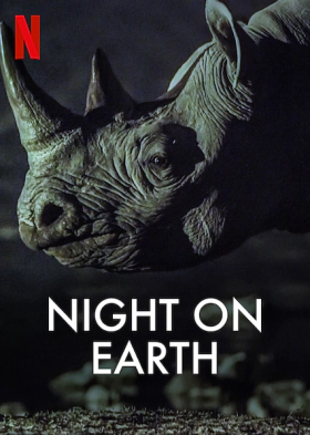 Night on Earth (2020)