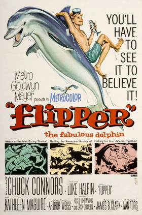 Το δελφίνι / Flipper (1963)