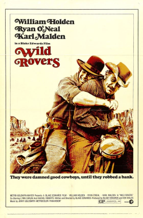 Δύο άγρια γεράκια / Wild Rovers (1971)