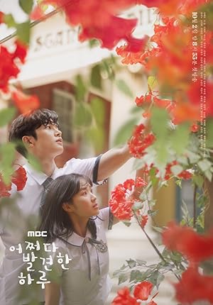 Extraordinary You / Eojjeoda Balgyeonhan Haru (2019)