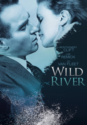 Wild River / Λάσπη στ’ αστέρια (1960)
