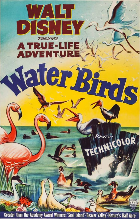 Θαλασσοπουλια / Water Birds (1952)