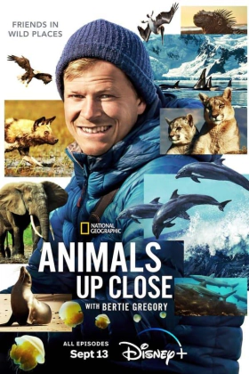 Animals Up Close with Bertie Gregory (2023)