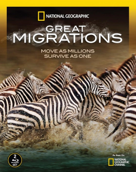 Απιστευτα Ταξιδια Ζωων / Great Migrations (2010)