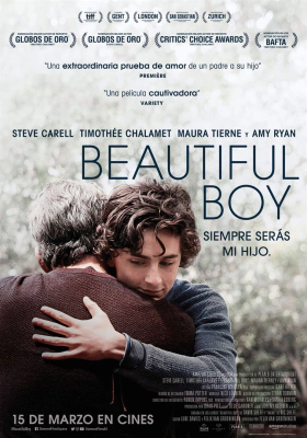 Beautiful Boy / Ένα Όμορφο Αγόρι (2018)