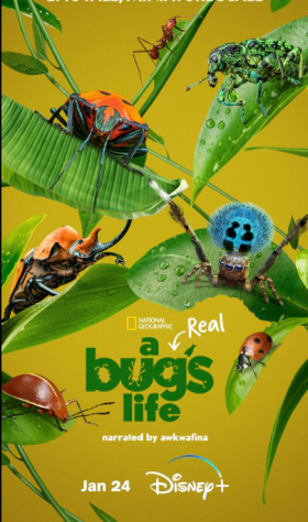 A Real Bug's Life / Ζουζούνια από Κοντά (2024)