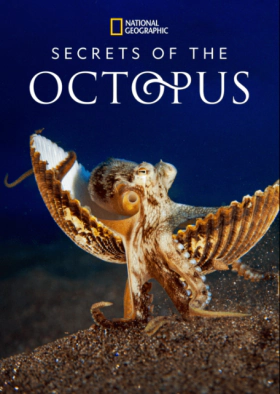 Μυστικά των Χταποδιών / Secrets of the Octopus (2024)