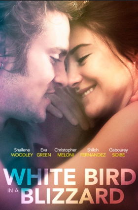 White Bird in a Blizzard / Η θύελλα μέσα της (2014)