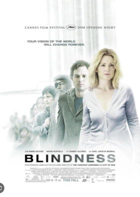 Blindness / Περί τυφλότητας (2008)