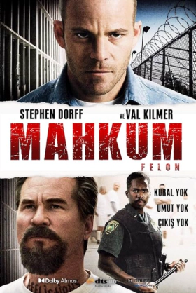 Felon / Ο Κατάδικος (2008)