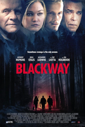 Εκδίκηση / Blackway / Go with Me (2015)
