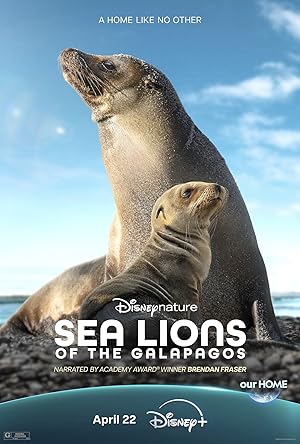 Sea Lions of the Galapagos / Θαλάσσια Λιοντάρια στα Νησιά Γκαλαπάγκος (2025)