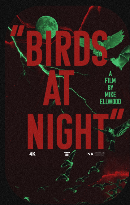 Birds at Night (2024)