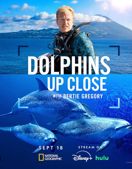 Dolphins Up Close with Bertie Gregory (2025)
