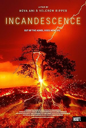 Incandescence (2024)
